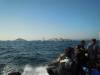 DSCN0962