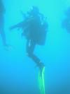 DSCN0954
