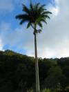 DSCN5729
