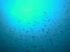 DSCN0907